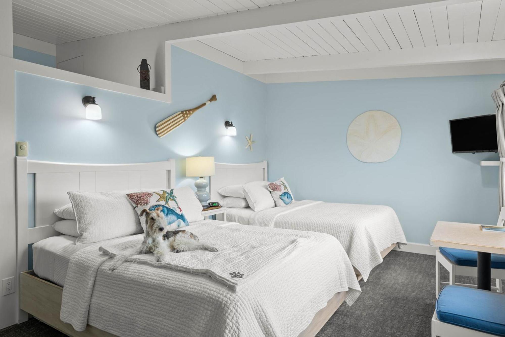 Harborview Inn & Rv Park Garibaldi Εξωτερικό φωτογραφία