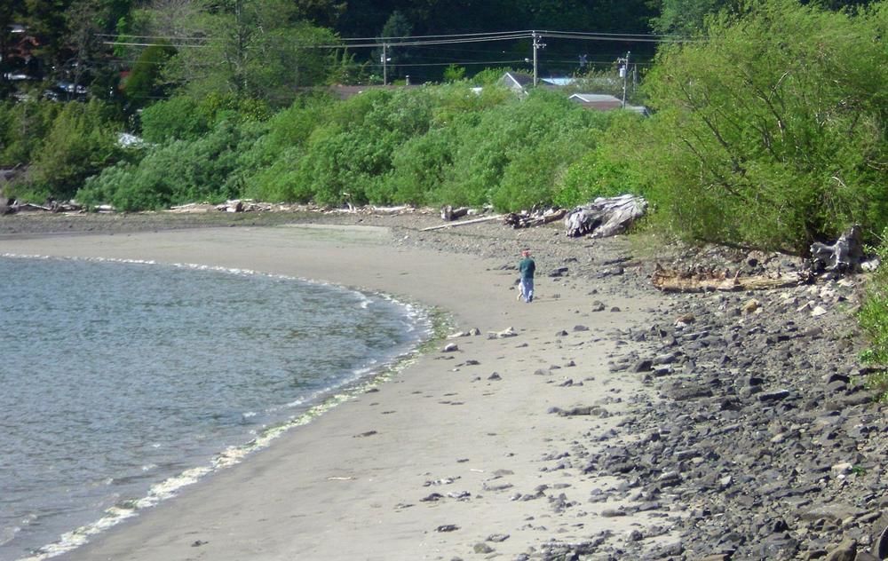 Harborview Inn & Rv Park Garibaldi Εξωτερικό φωτογραφία